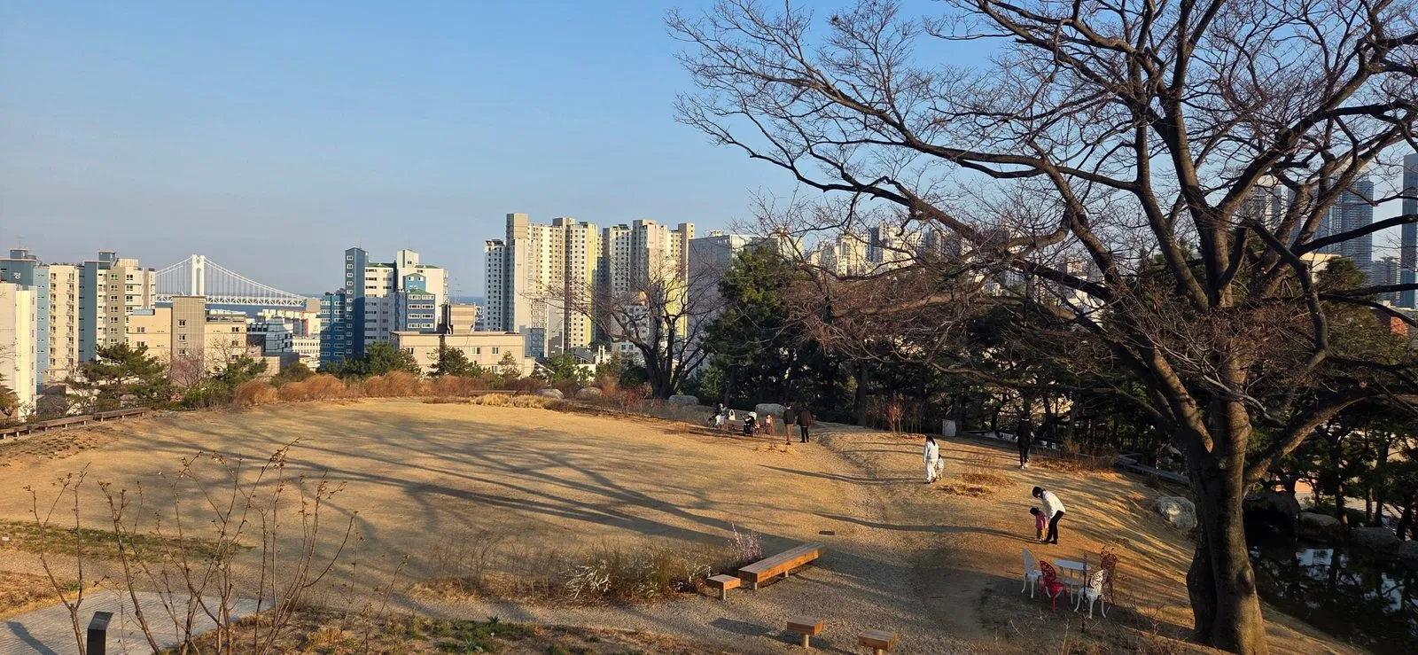 잔디가 누렇게 마른 정원과 나무 너머로 멀리 보이는 아파트와 다리